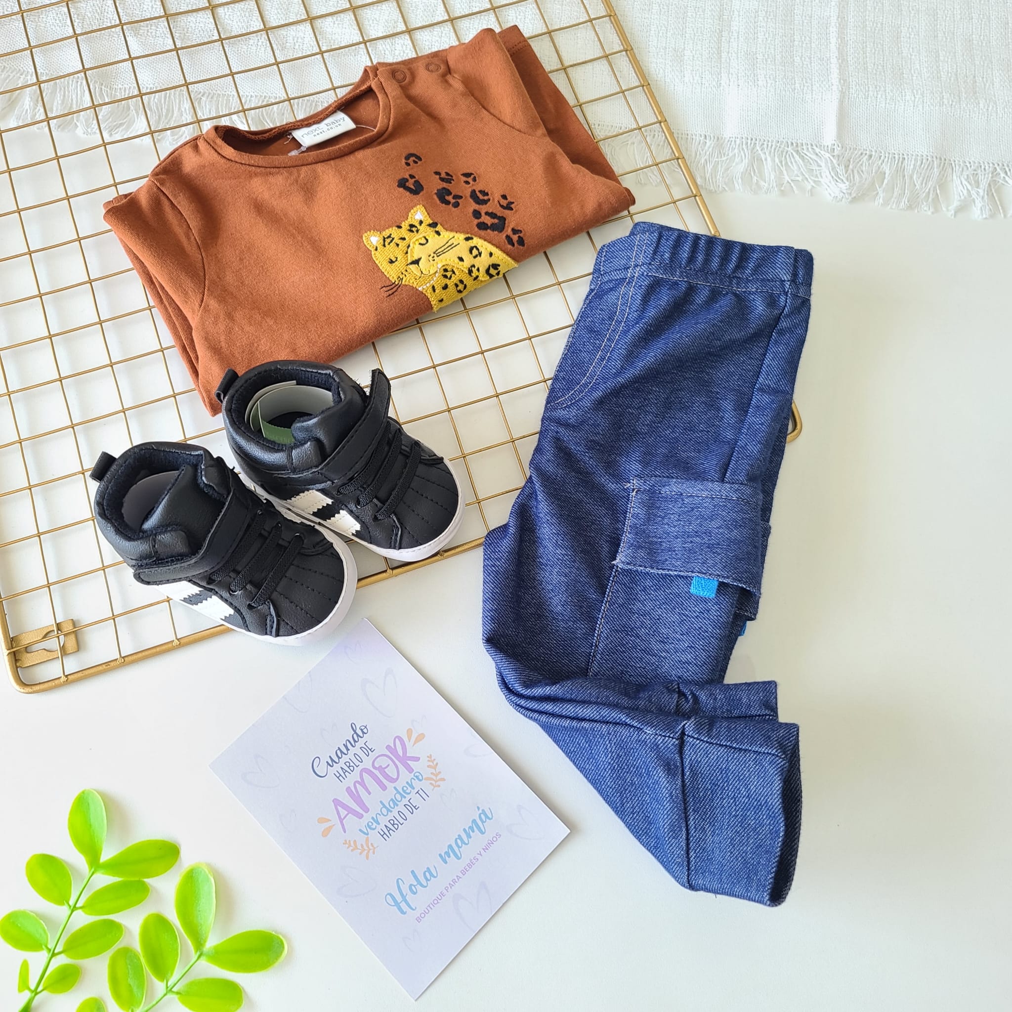 CONJUNTO ALFONSO