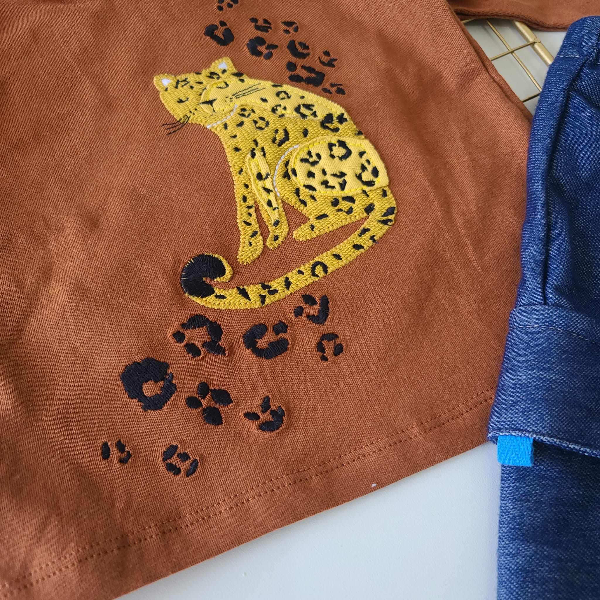 CONJUNTO ALFONSO