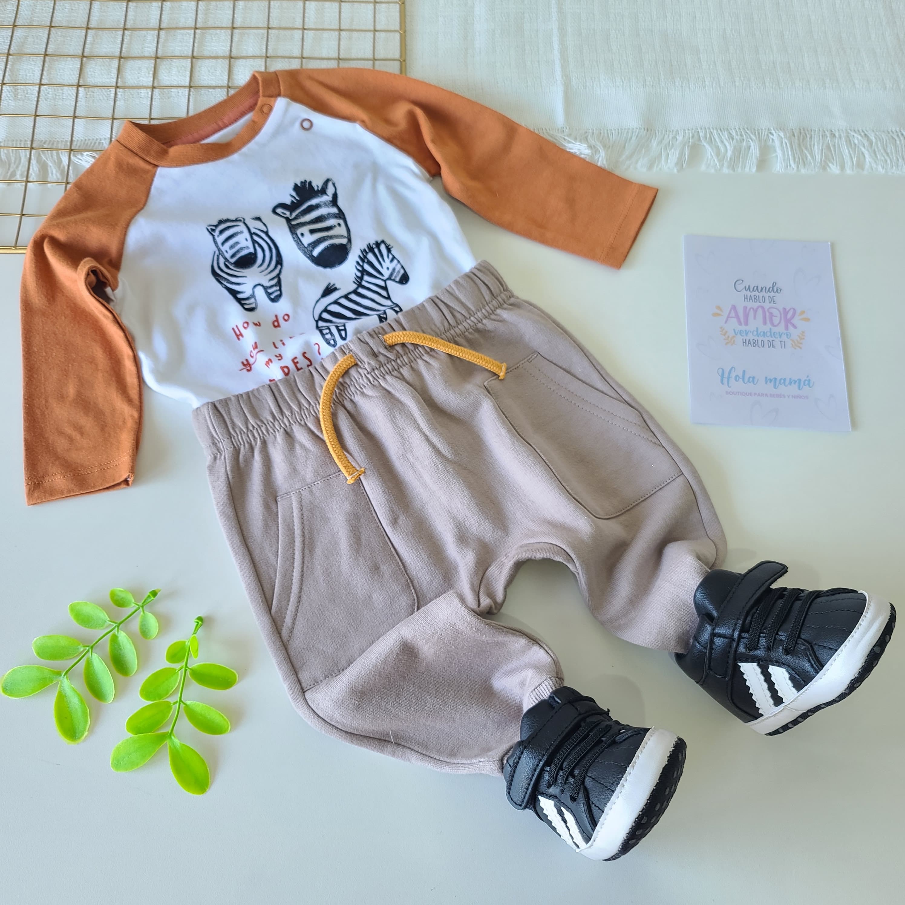 CONJUNTO JORDI