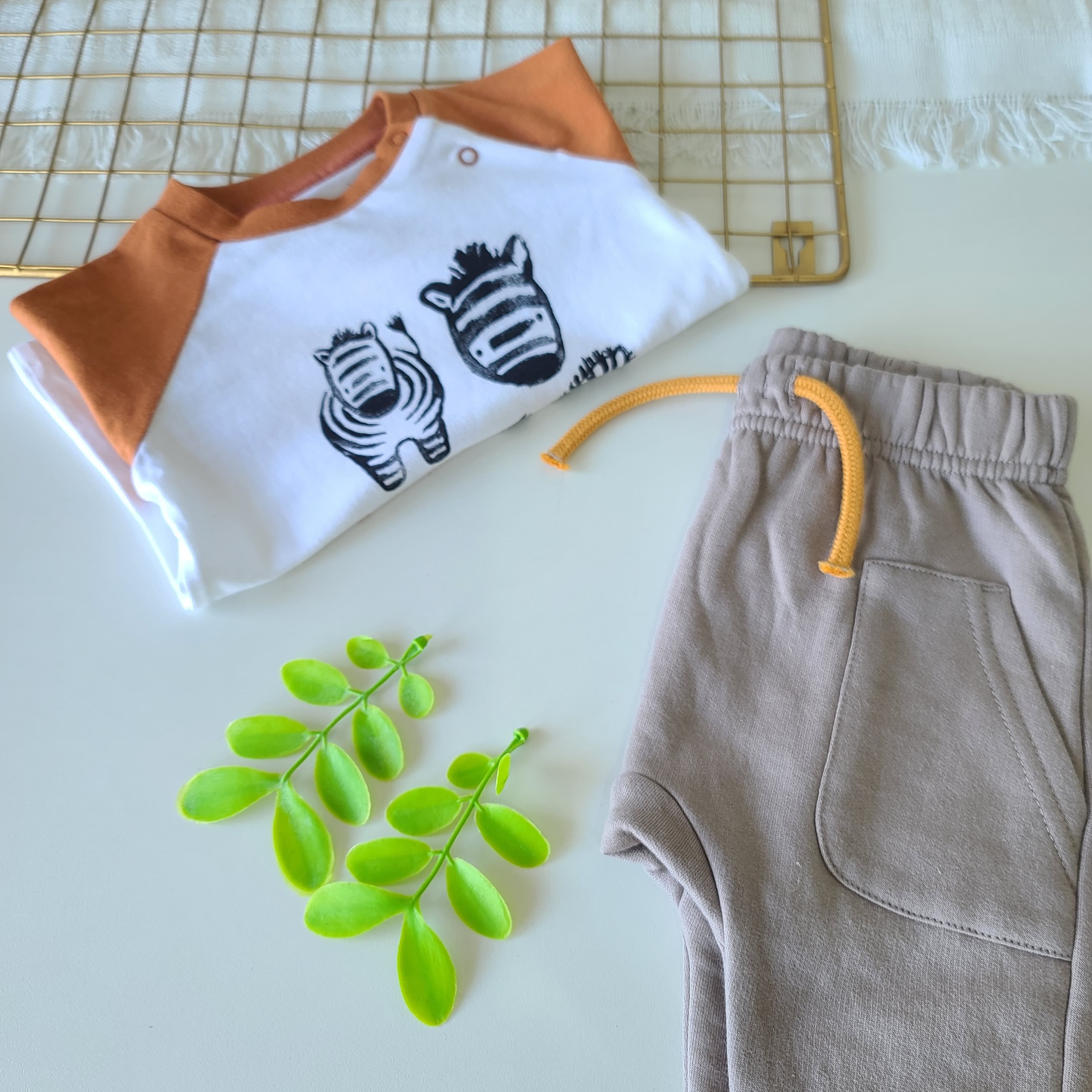 CONJUNTO JORDI