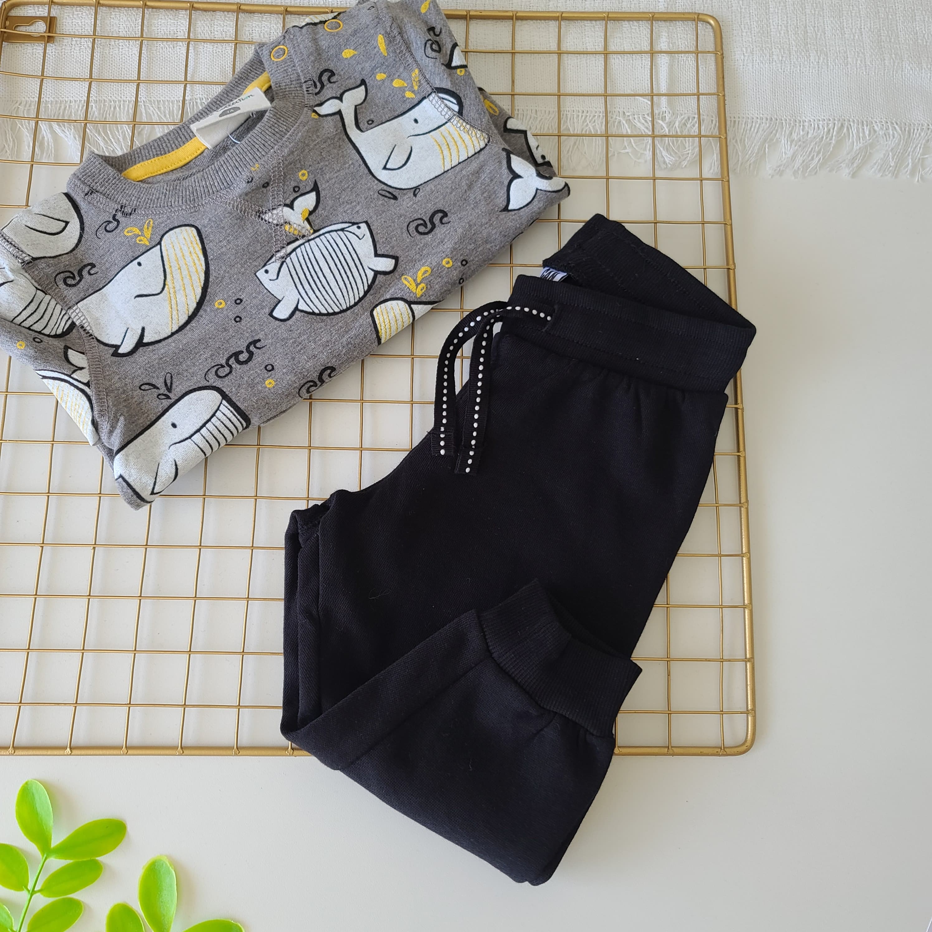 CONJUNTO MARC
