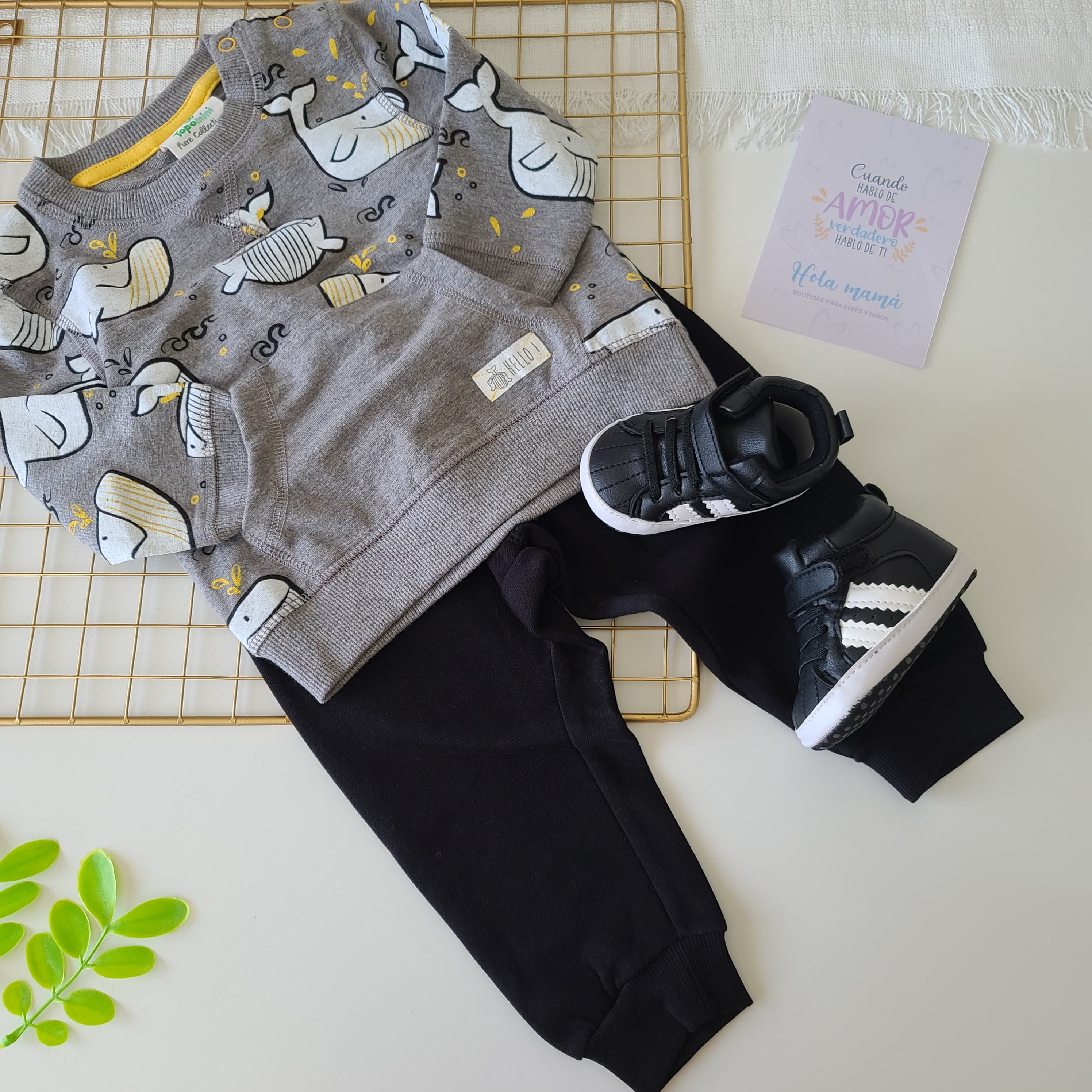 CONJUNTO MARC