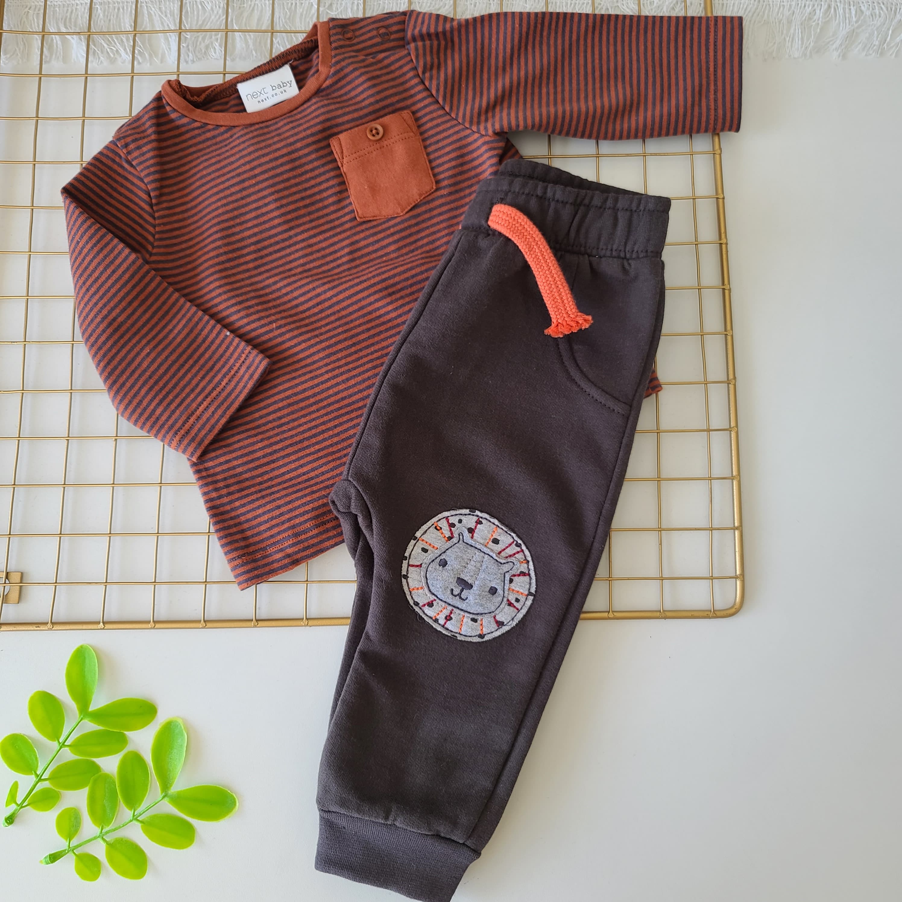 CONJUNTO NOAH