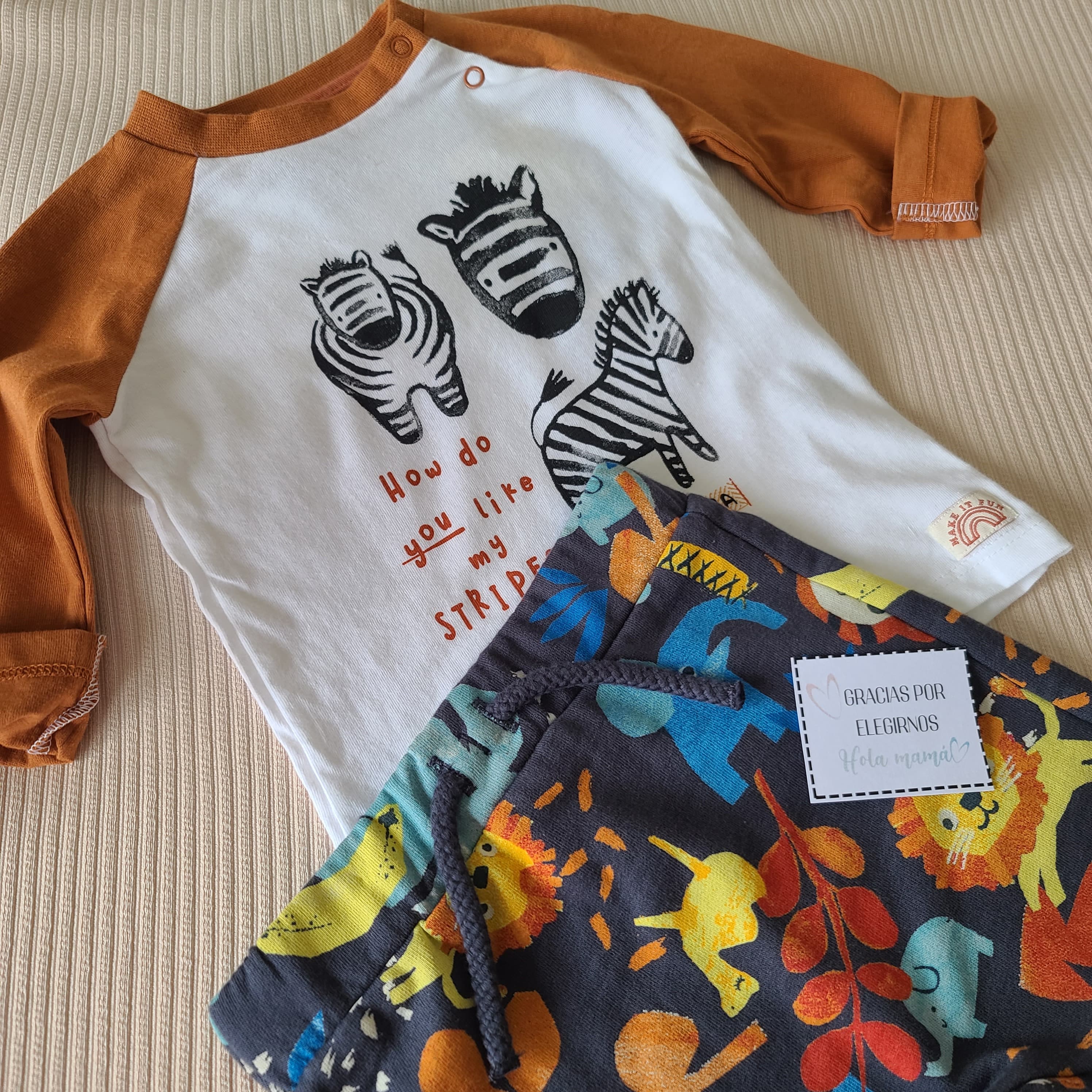 CONJUNTO ZOO