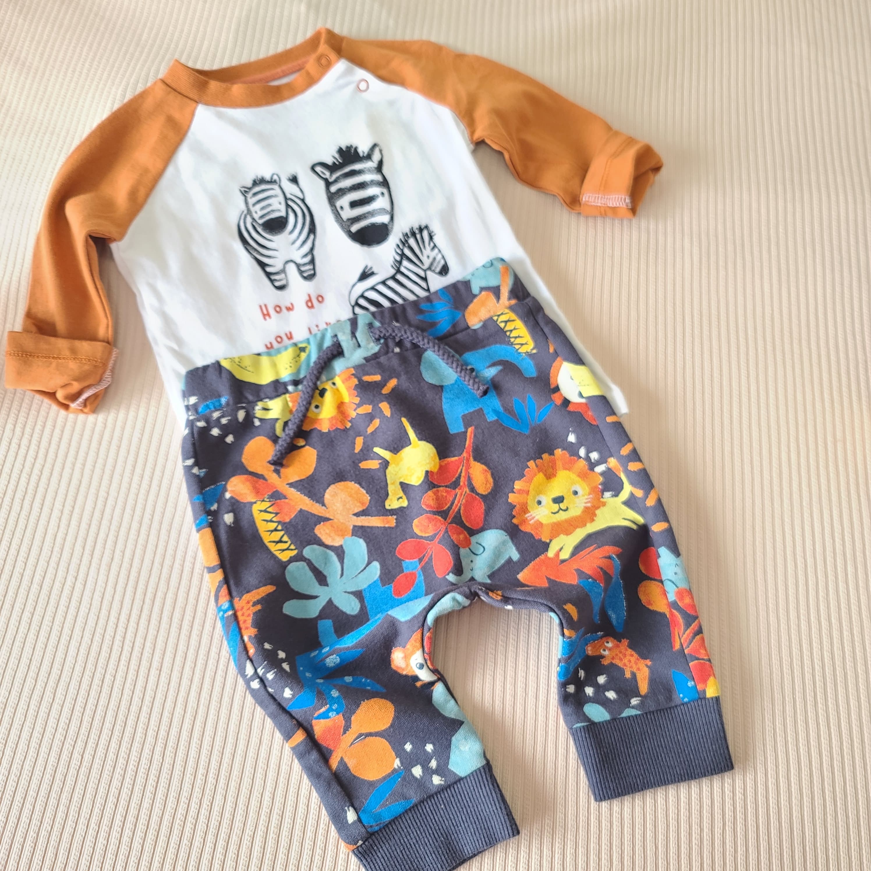 CONJUNTO ZOO