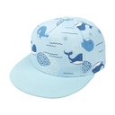 GORRO VICERA