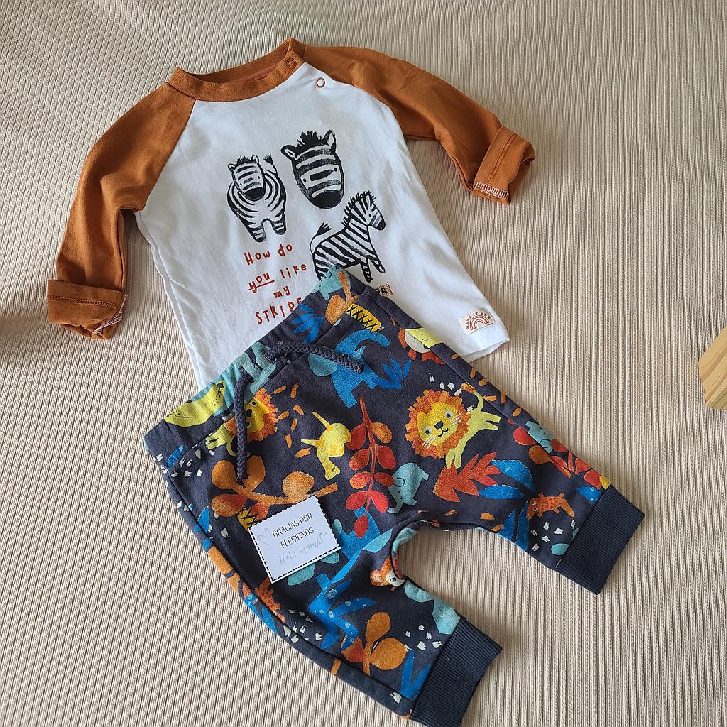 CONJUNTO ZOO